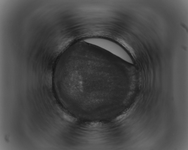 X0000093130493200710171310