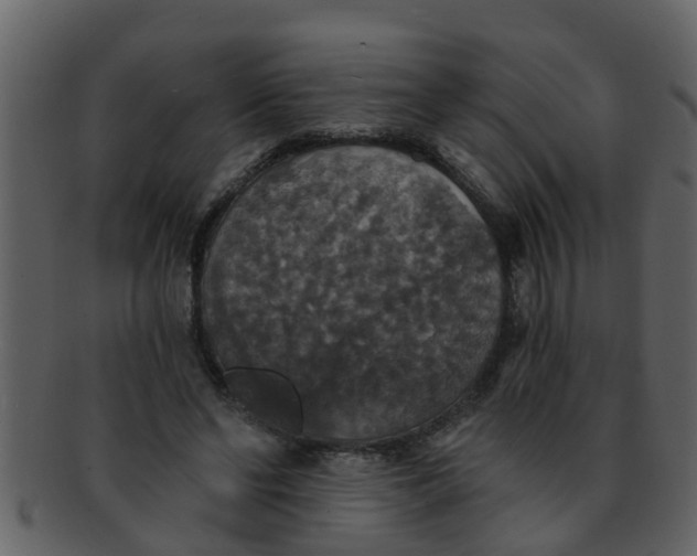 X0000093130494200710171310