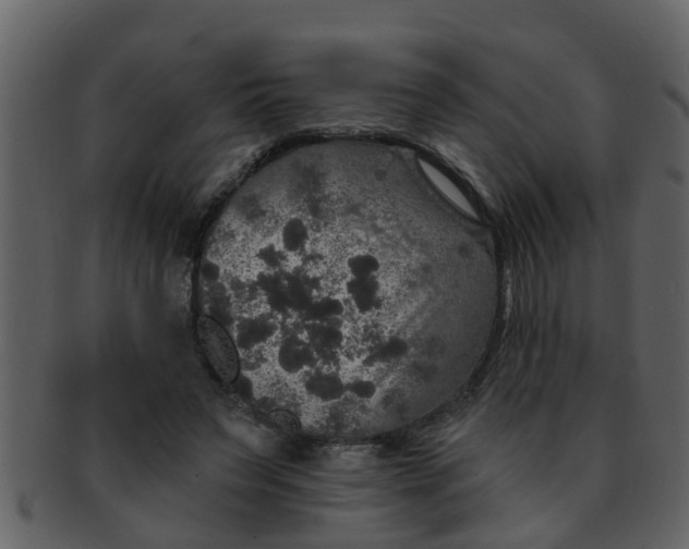 X0000093130495200710171310