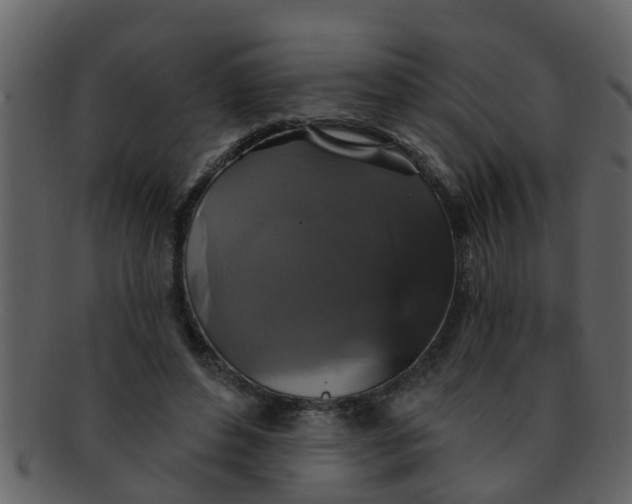 X0000093130496200710171310