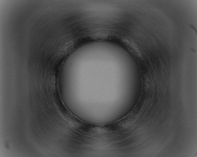 X0000093130498200710171310