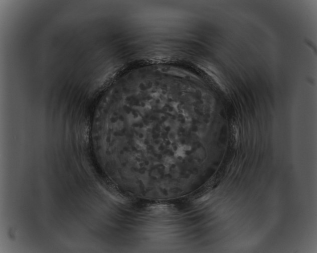 X0000093130499200710171310