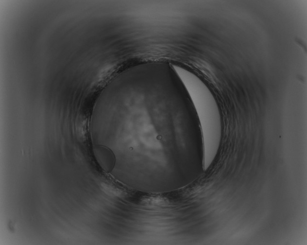 X0000093130503200710171310