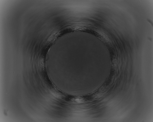 X0000093130506200710171310