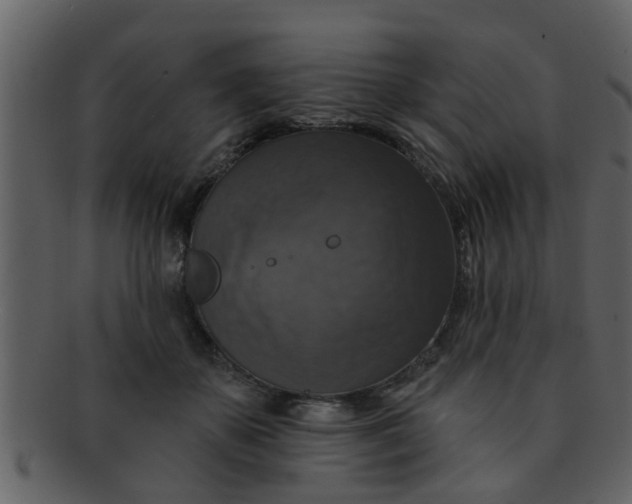 X0000093130507200710171310