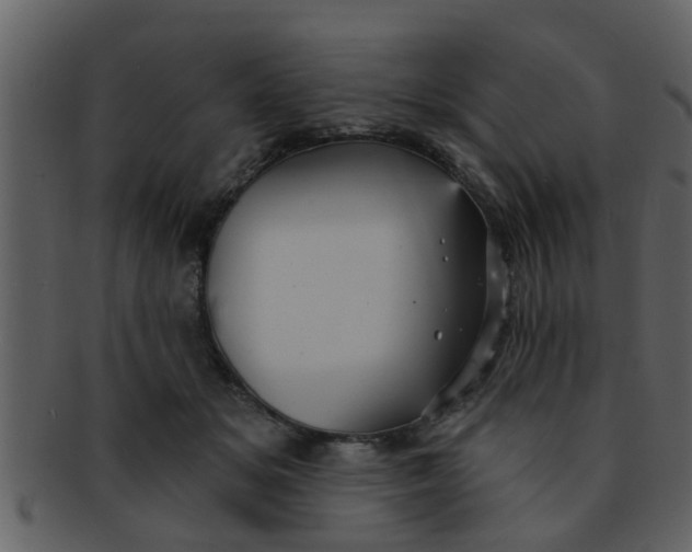 X0000093130509200710171310