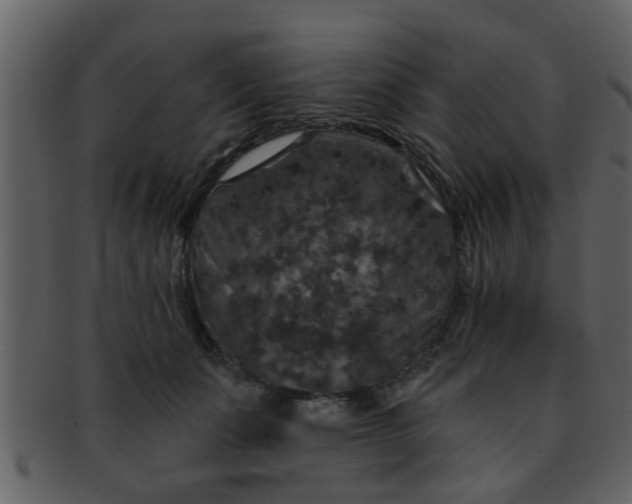 X0000093130511200710171310