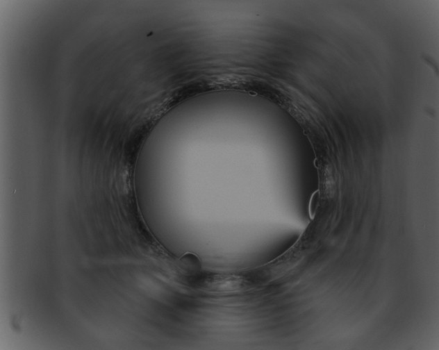 X0000093130514200710171310