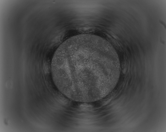 X0000093130515200710171310