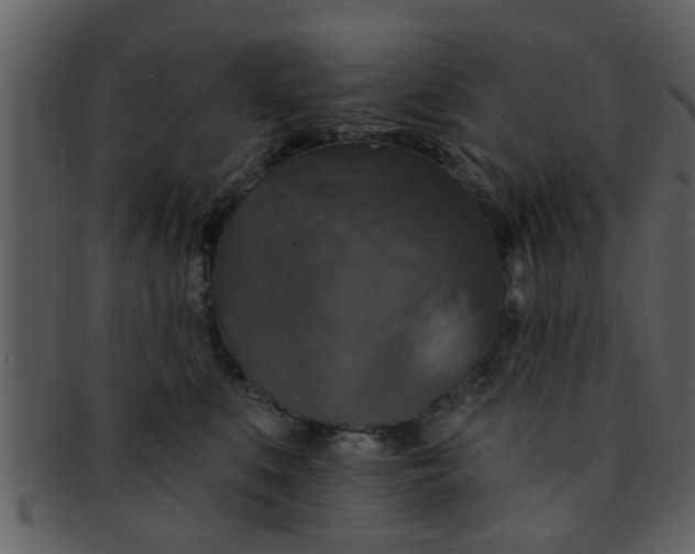 X0000093130519200710171310