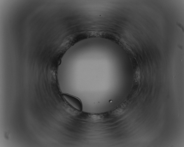 X0000093130522200710171310