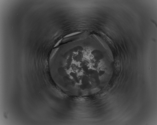 X0000093130523200710171310