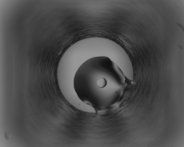 X0000093130524200710171310