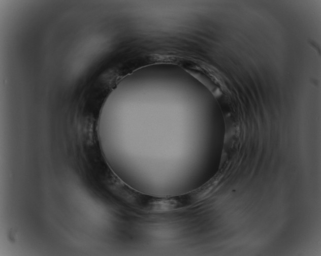 X0000093130525200710171310