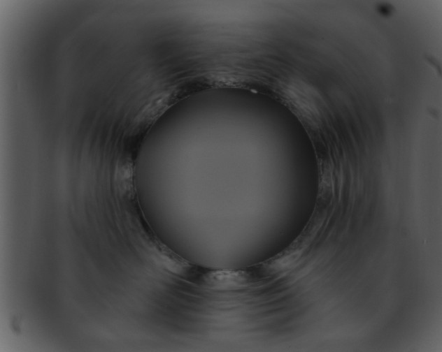 X0000093130526200710171310