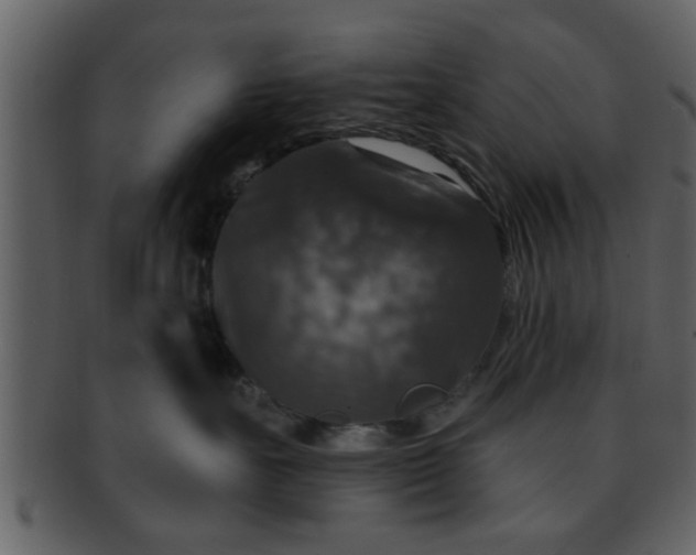 X0000093130527200710171310