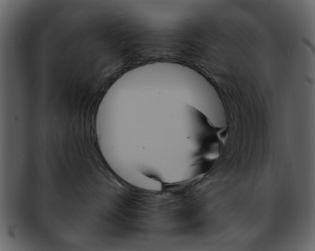 X0000093130528200710171310