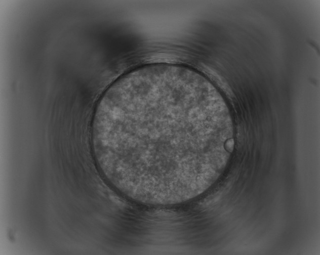 X0000093130529200710171309