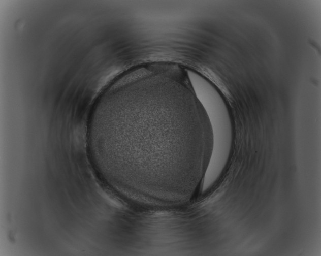 X0000093130530200710171309