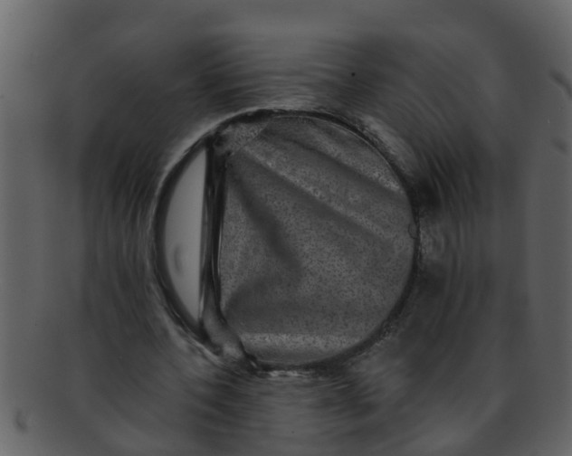 X0000093130532200710171309