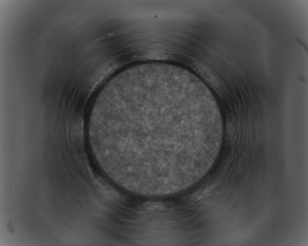 X0000093130534200710171309