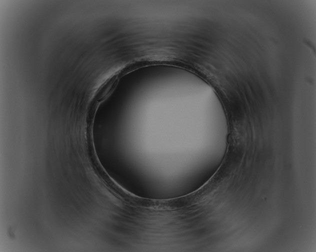 X0000093130535200710171309