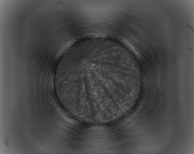 X0000093130537200710171309