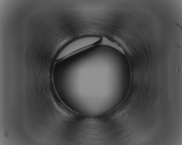 X0000093130538200710171309