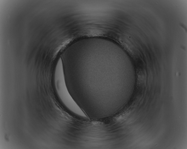 X0000093130539200710171309