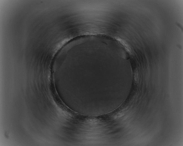 X0000093130540200710171309