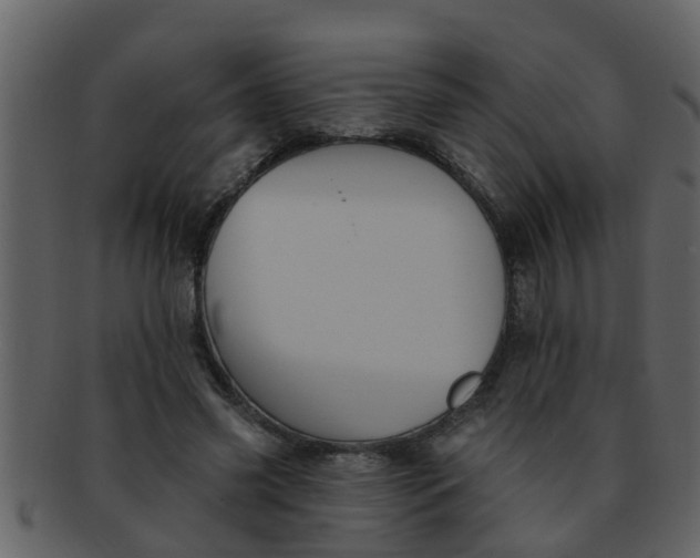 X0000093130541200710171309