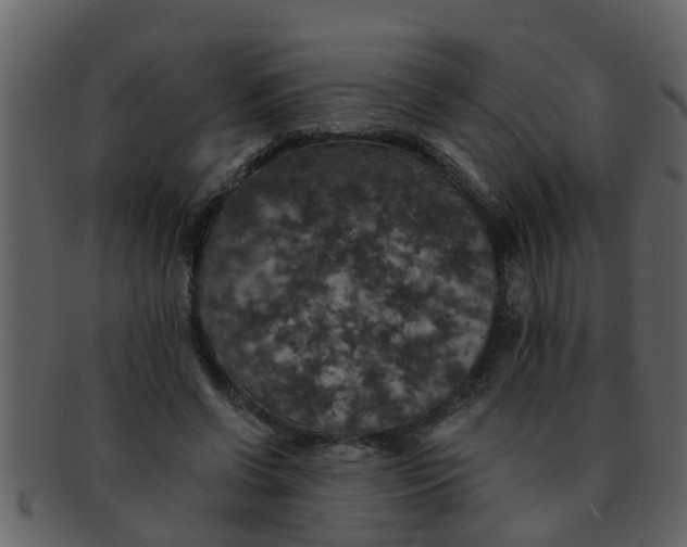 X0000093130542200710171309