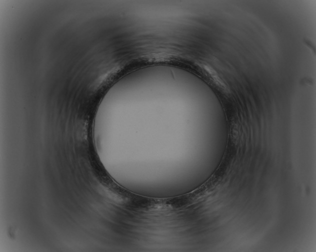 X0000093130543200710171309