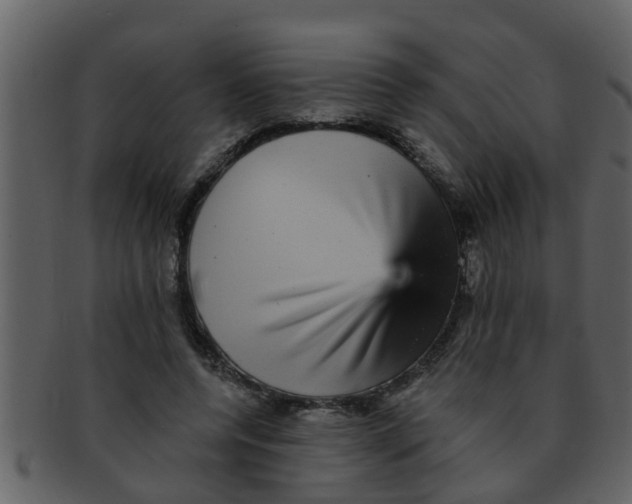 X0000093130544200710171309