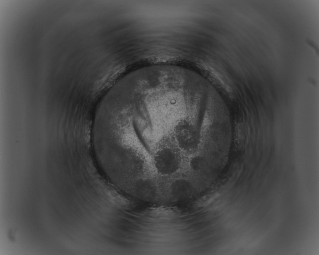 X0000093130545200710171309