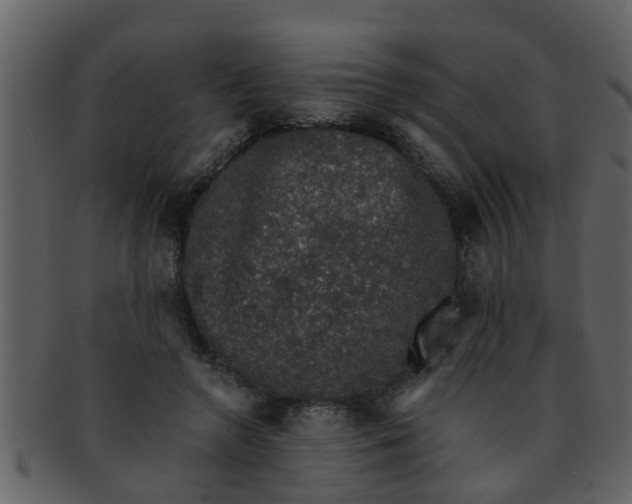 X0000093130546200710171309