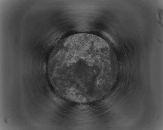 X0000093130549200710171309