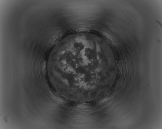 X0000093130550200710171309