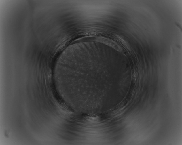 X0000093130552200710171309