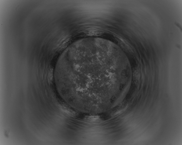 X0000093130554200710171310