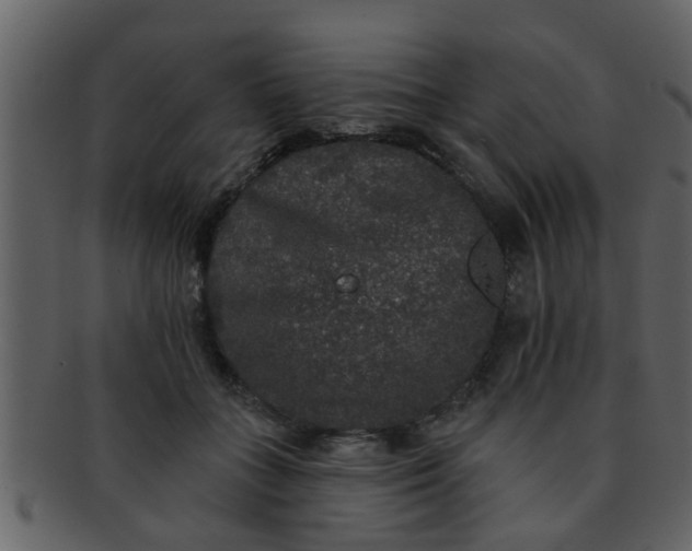 X0000093130555200710171310