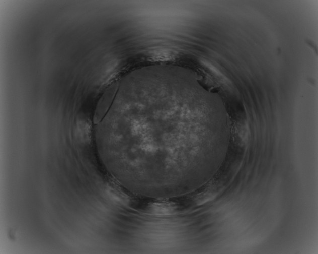 X0000093130556200710171310