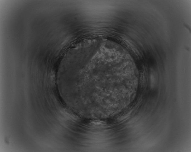 X0000093130557200710171310