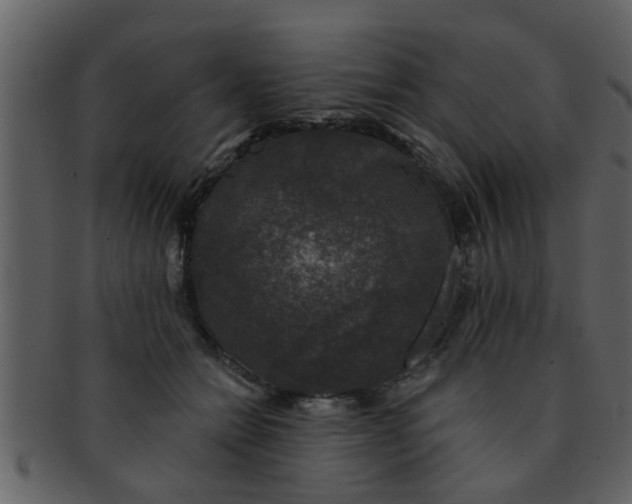 X0000093130558200710171310