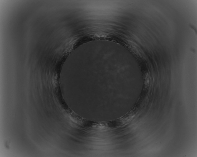 X0000093130559200710171310