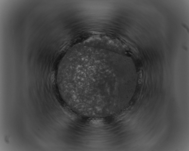 X0000093130560200710171310