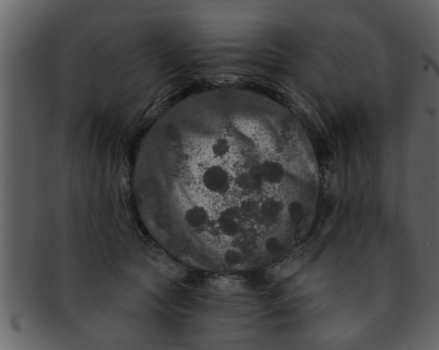 X0000093130561200710171310