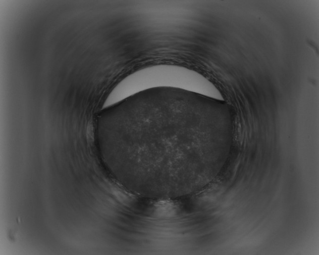 X0000093130562200710171310