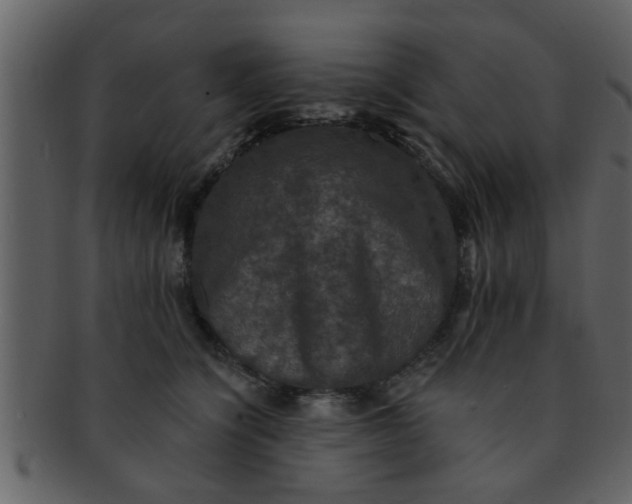 X0000093130564200710171310