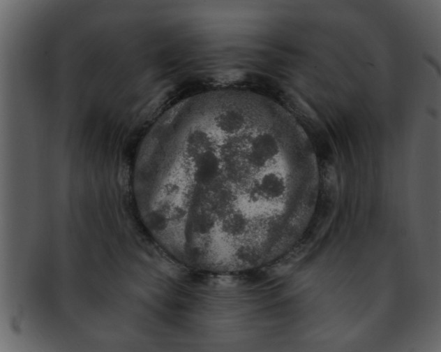 X0000093130565200710171310